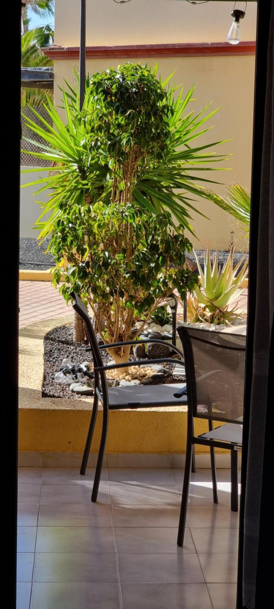 Apartment Hato Fuerteventura *